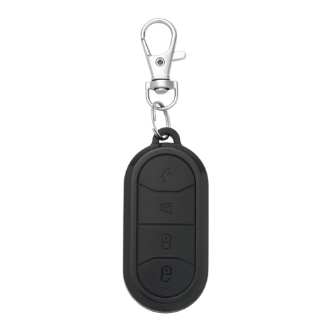 Image of DYU A1F e-bike sleutels / keys